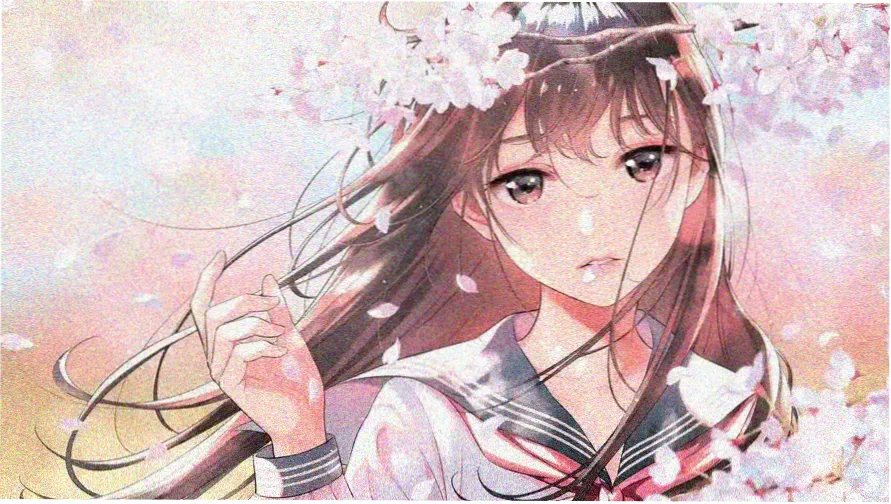 banner cover