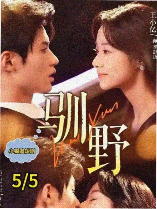tv cover