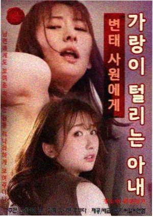 tv cover